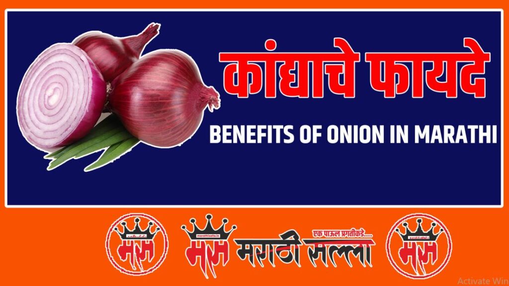 Benefits of onion in Marathi कांद्याचे फायदे कोणते आहेत मराठी सल्ला