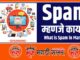 What is Spam in Marathi