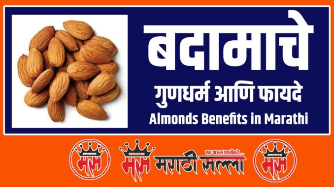 Almonds Benefits in Marathi Almonds Benefits in Marathi