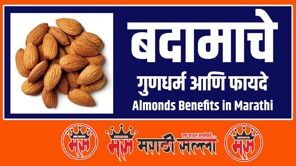 Almonds Benefits in Marathi बदामाचे गुणधर्म आणि फायदे