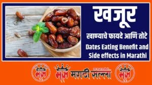 Benefit of Dates in Marathi