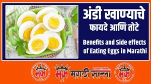 Benefits of Eating Eggs in Marathi