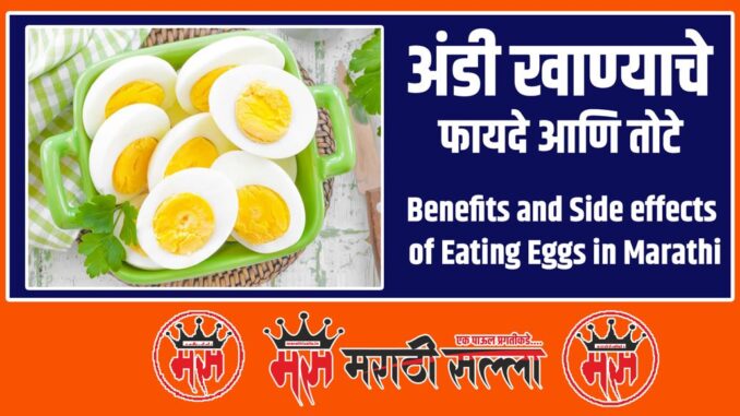 Benefits of Eating Eggs in Marathi