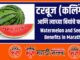 Benefits of Watermelon in Marathi