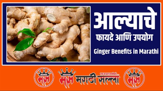 Ginger Benefits in Marathi