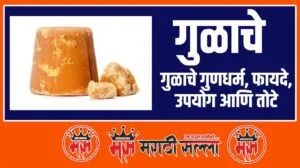 information of jaggery in Marathi