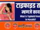 What is typhoid fever in Marathi